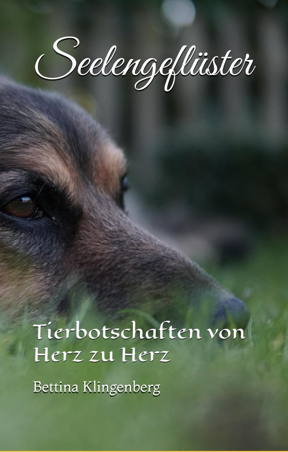 Seelengeflüster: Tierbotschaften von Herz zu Herz / Taschenbuch