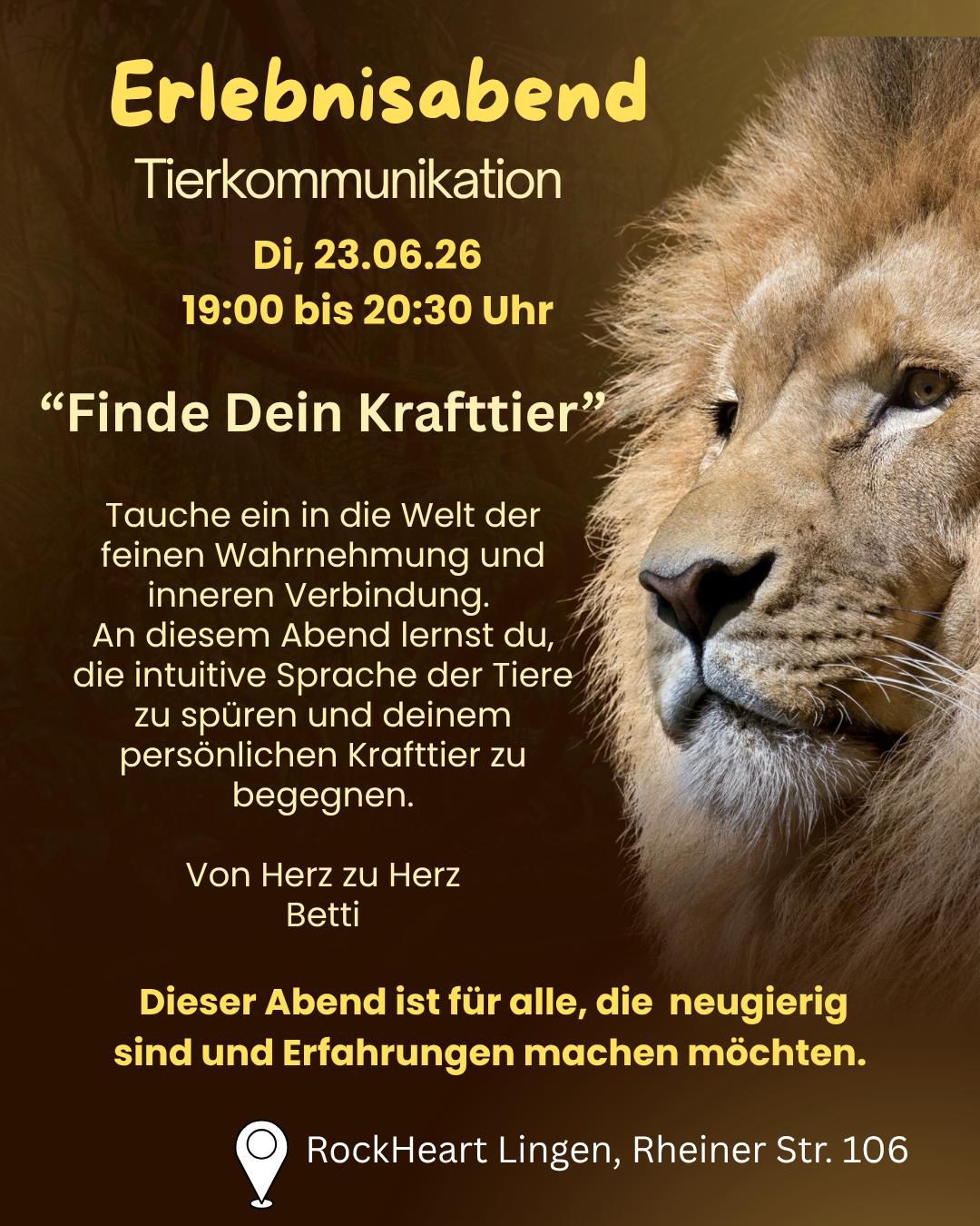 Erlebnisabend - Tierkommunikation / 23.06.2026