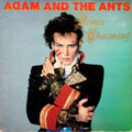 Adam And The Ants – Prince Charming / LP - Gatefold