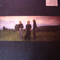 Bee Gees – E-S-P / LP